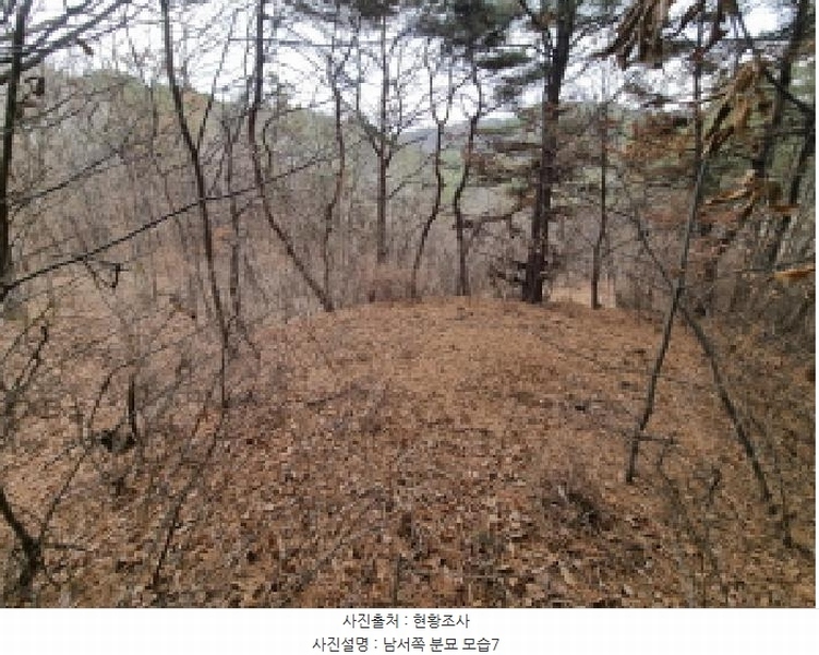 2025타경501785 세종특별자치시 금남면 영치리 산6-1 임야 경매 이미지