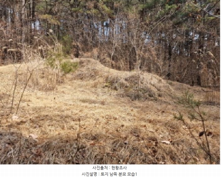 2025타경501785 세종특별자치시 금남면 영치리 산6-1 임야 경매 이미지