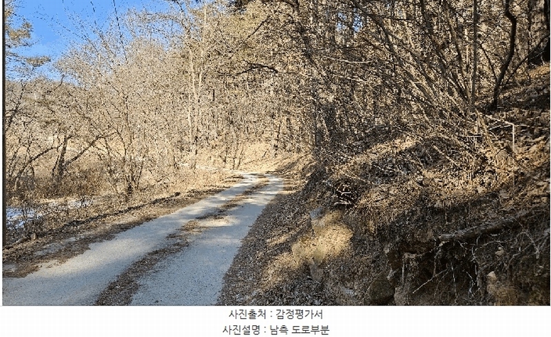 2025타경501785 세종특별자치시 금남면 영치리 산6-1 임야 경매 이미지