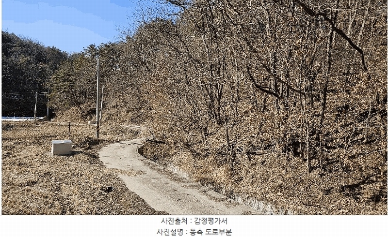 2025타경501785 세종특별자치시 금남면 영치리 산6-1 임야 경매 이미지