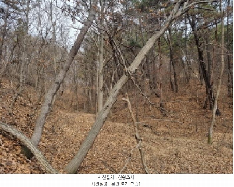 2025타경501785 세종특별자치시 금남면 영치리 산6-1 임야 경매 이미지
