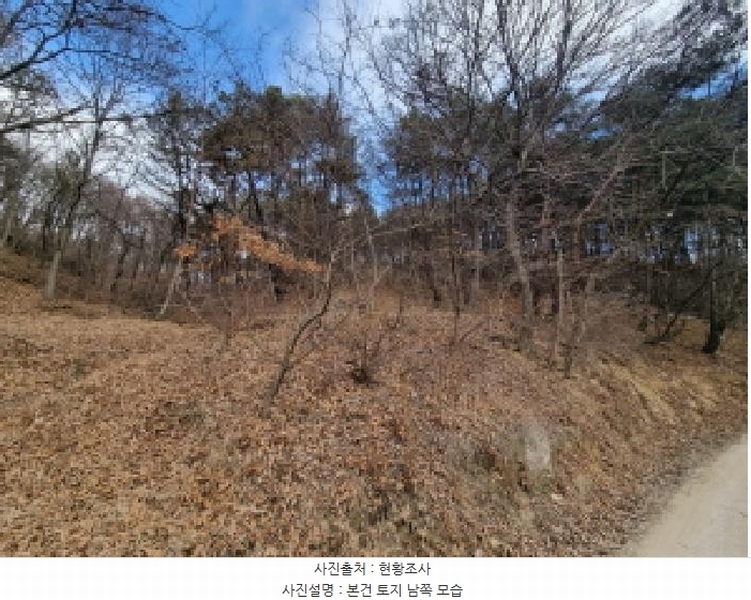 2025타경501785 세종특별자치시 금남면 영치리 산6-1 임야 경매 이미지
