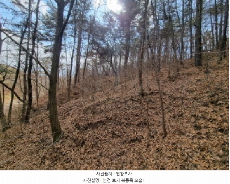 2025타경501785 세종특별자치시 금남면 영치리 산6-1 임야 경매 이미지