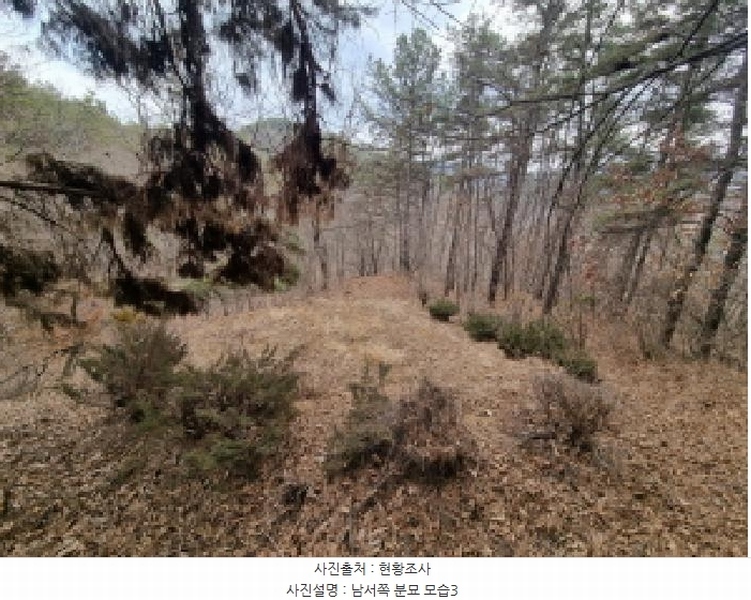 2025타경501785 세종특별자치시 금남면 영치리 산6-1 임야 경매 이미지