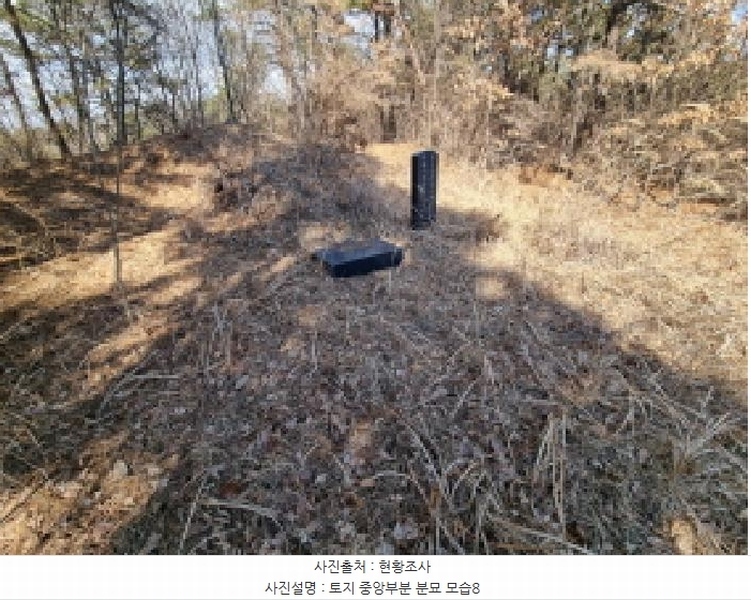 2025타경501785 세종특별자치시 금남면 영치리 산6-1 임야 경매 이미지