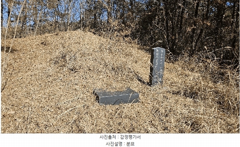 2025타경501785 세종특별자치시 금남면 영치리 산6-1 임야 경매 이미지