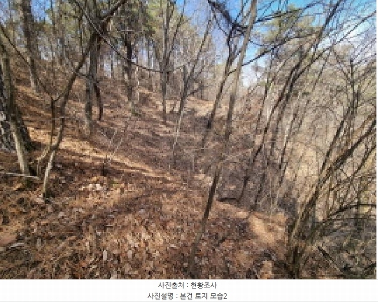 2025타경501785 세종특별자치시 금남면 영치리 산6-1 임야 경매 이미지