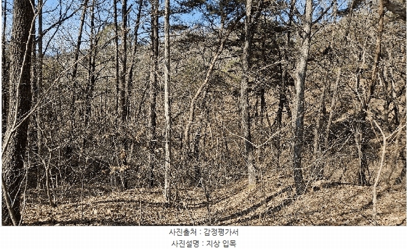 2025타경501785 세종특별자치시 금남면 영치리 산6-1 임야 경매 이미지