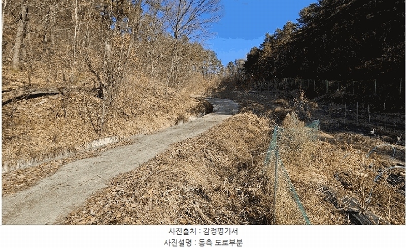 2025타경501785 세종특별자치시 금남면 영치리 산6-1 임야 경매 이미지