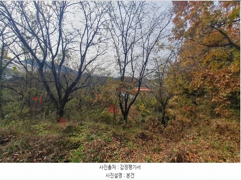 2024타경2940 경상남도 함안군 법수면 윤외리 1529-1 농지 경매 이미지