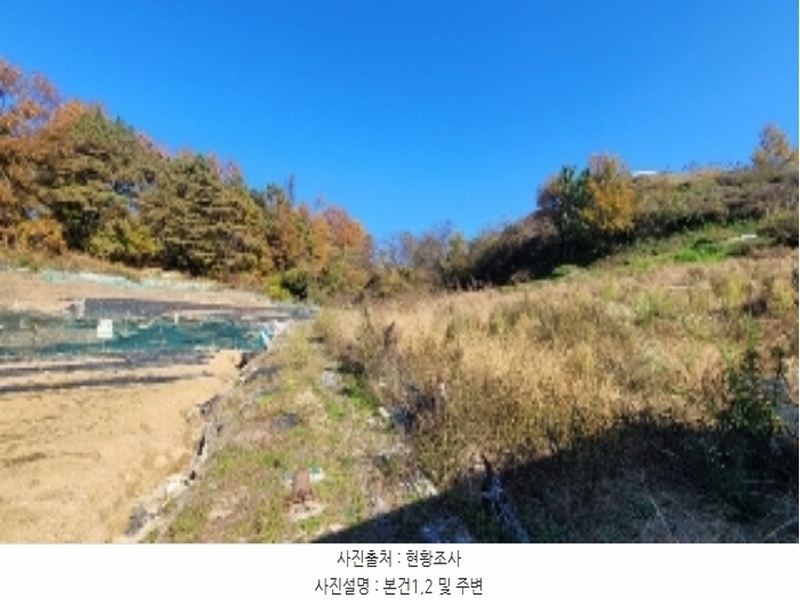 2024타경2940 경상남도 함안군 법수면 윤외리 1529-1 농지 경매 이미지