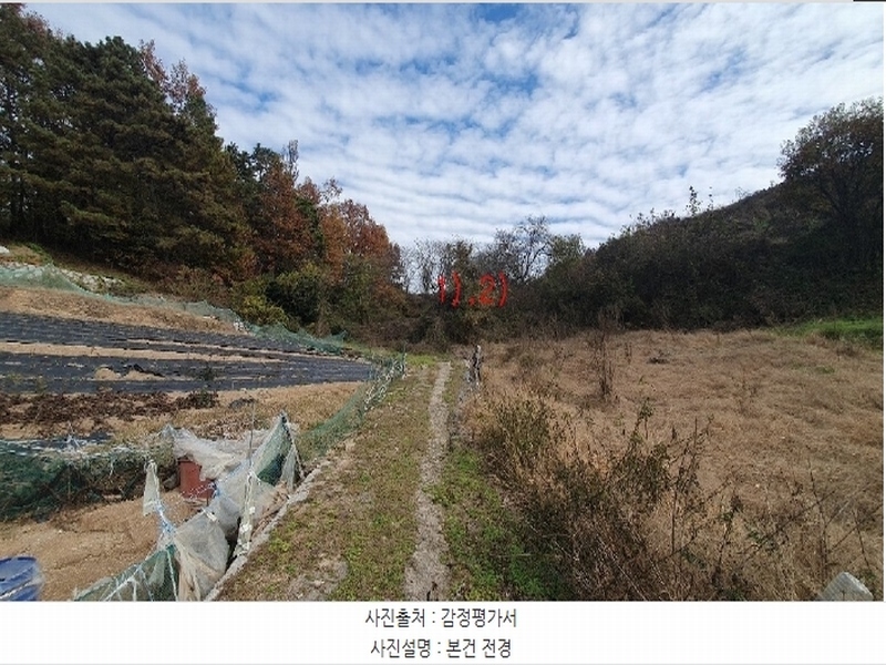 2024타경2940 경상남도 함안군 법수면 윤외리 1529-1 농지 경매 이미지