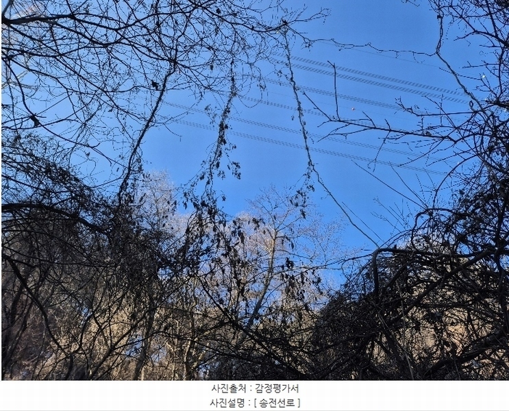 2025타경70206 경기도 포천시 신북면 계류리 561-1 농지 경매 이미지