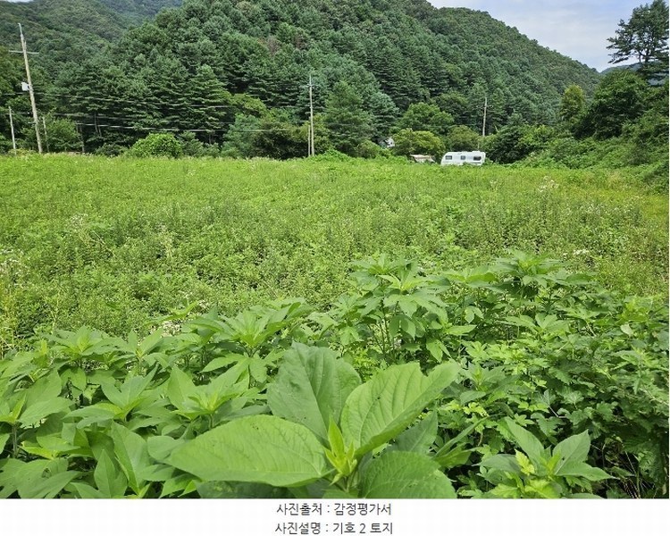 2024타경82615 경기도 포천시 신북면 삼정리 327 농지 경매 이미지