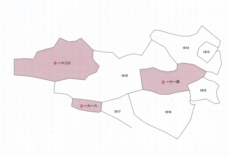 2024타경3288 경상북도 경주시 안강읍 옥산리 1620 농지 경매 이미지