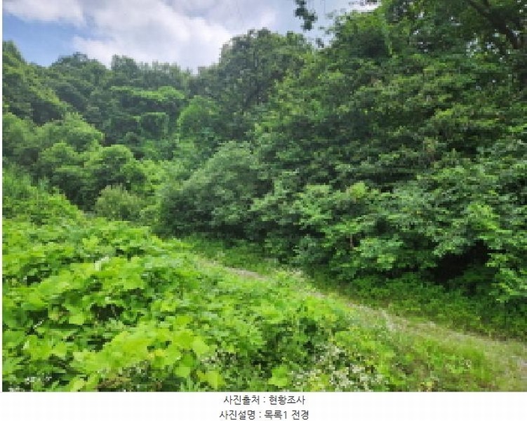 2025타경72590 경기도 동두천시 광암동 산56-1 임야 경매 이미지