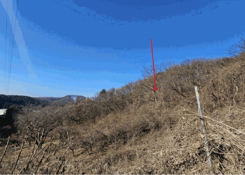 2025타경72590 경기도 동두천시 광암동 산56-1 임야 경매 이미지