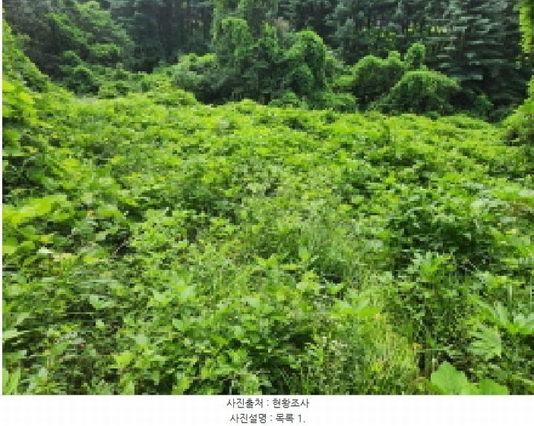 2025타경72590 경기도 동두천시 광암동 산56-1 임야 경매 이미지