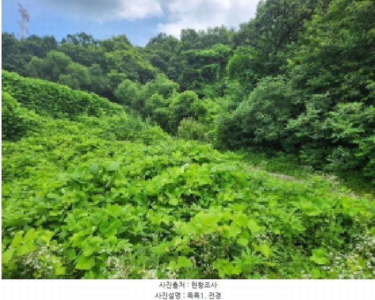2025타경72590 경기도 동두천시 광암동 산56-1 임야 경매 이미지