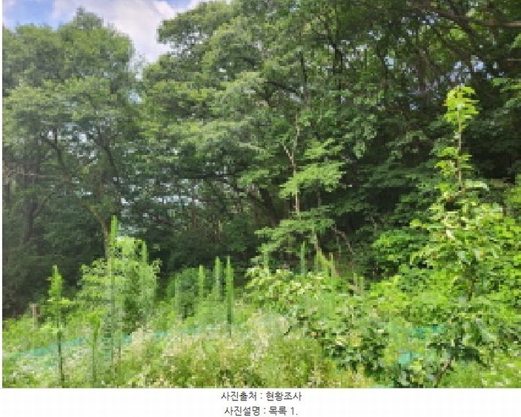 2025타경72590 경기도 동두천시 광암동 산56-1 임야 경매 이미지