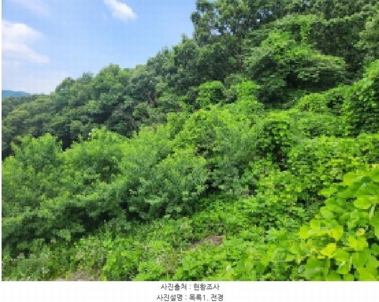 2025타경72590 경기도 동두천시 광암동 산56-1 임야 경매 이미지