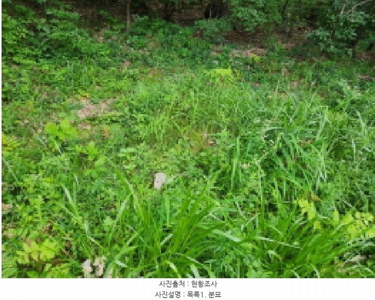 2025타경72590 경기도 동두천시 광암동 산56-1 임야 경매 이미지
