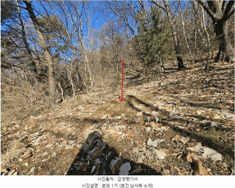 2025타경72590 경기도 동두천시 광암동 산56-1 임야 경매 이미지