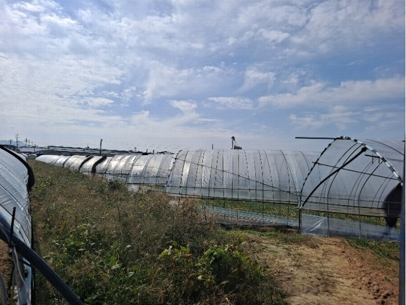 2022타경4604 경기도 포천시 가산면 마전리 626-3 농지 경매 이미지