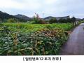 2024타경4783 경기도 연천군 군남면 삼거리 354 농지 경매 이미지