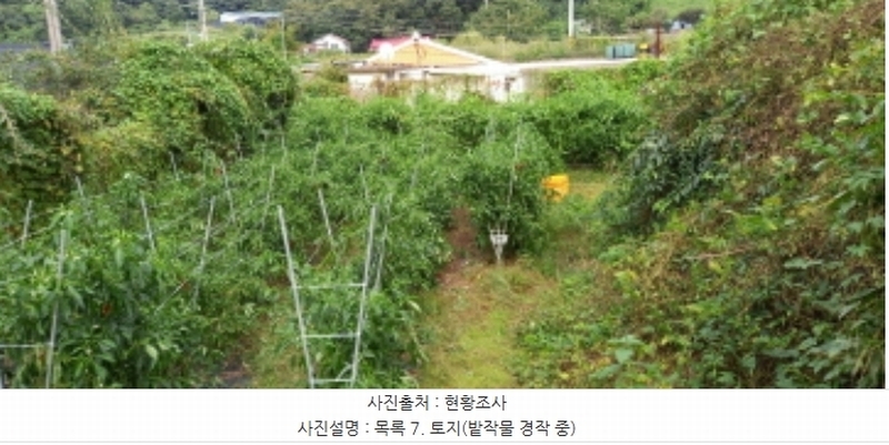 2024타경4783 경기도 연천군 군남면 삼거리 354 농지 경매 이미지