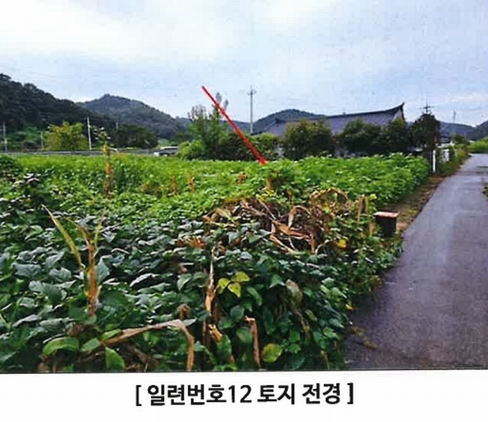 2024타경4783 경기도 연천군 군남면 삼거리 354 농지 경매 이미지