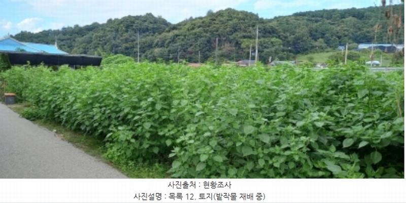 2024타경4783 경기도 연천군 군남면 삼거리 354 농지 경매 이미지