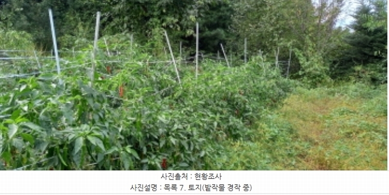2024타경4783 경기도 연천군 군남면 삼거리 354 농지 경매 이미지