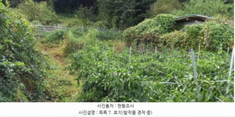 2024타경4783 경기도 연천군 군남면 삼거리 354 농지 경매 이미지