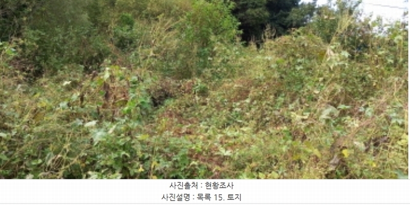 2024타경4783 경기도 연천군 군남면 삼거리 354 농지 경매 이미지