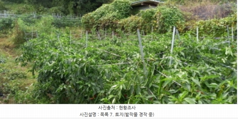 2024타경4783 경기도 연천군 군남면 삼거리 354 농지 경매 이미지