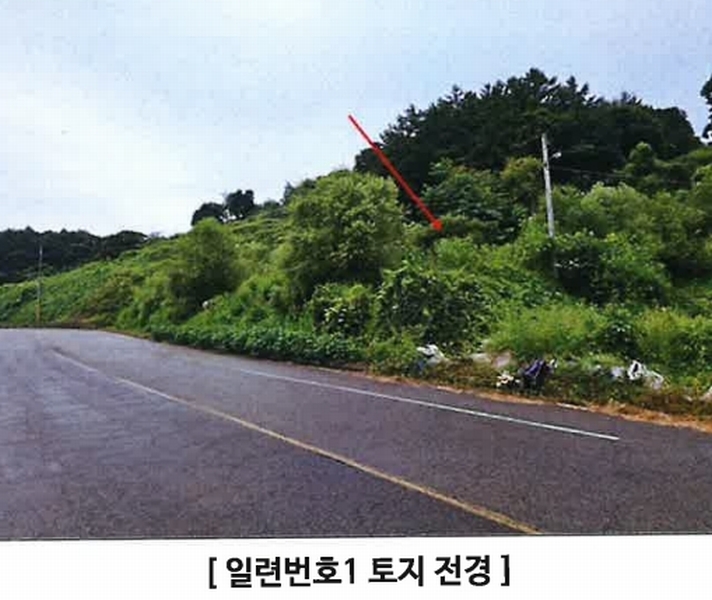 2024타경4783 경기도 연천군 군남면 삼거리 354 농지 경매 이미지