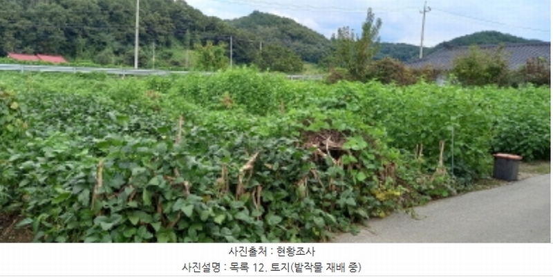 2024타경4783 경기도 연천군 군남면 삼거리 354 농지 경매 이미지