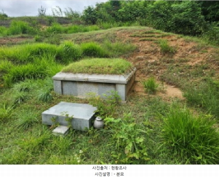 2025타경72496 경기도 양주시 남면 경신리 산13-2 임야 경매 이미지