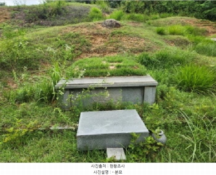 2025타경72496 경기도 양주시 남면 경신리 산13-2 임야 경매 이미지