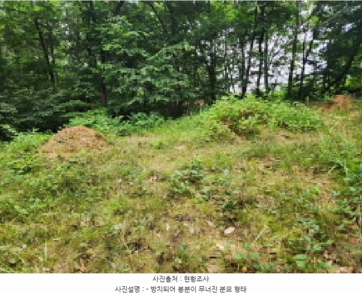2025타경72496 경기도 양주시 남면 경신리 산13-2 임야 경매 이미지