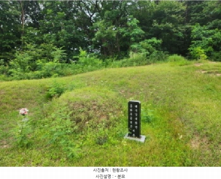 2025타경72496 경기도 양주시 남면 경신리 산13-2 임야 경매 이미지