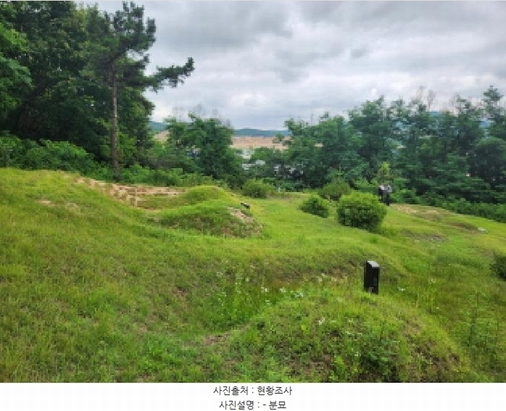 2025타경72496 경기도 양주시 남면 경신리 산13-2 임야 경매 이미지