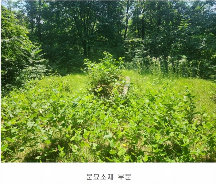 2025타경72496 경기도 양주시 남면 경신리 산13-2 임야 경매 이미지