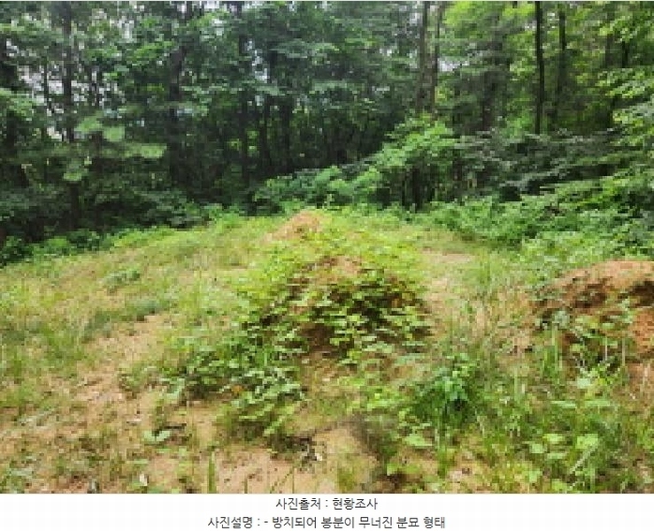 2025타경72496 경기도 양주시 남면 경신리 산13-2 임야 경매 이미지