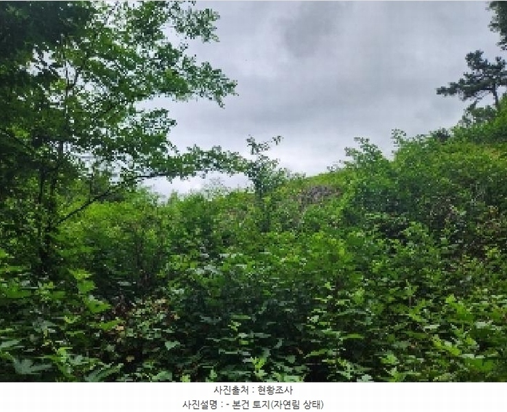 2025타경72496 경기도 양주시 남면 경신리 산13-2 임야 경매 이미지