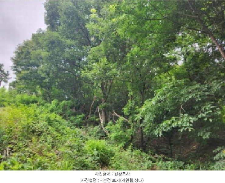 2025타경72496 경기도 양주시 남면 경신리 산13-2 임야 경매 이미지