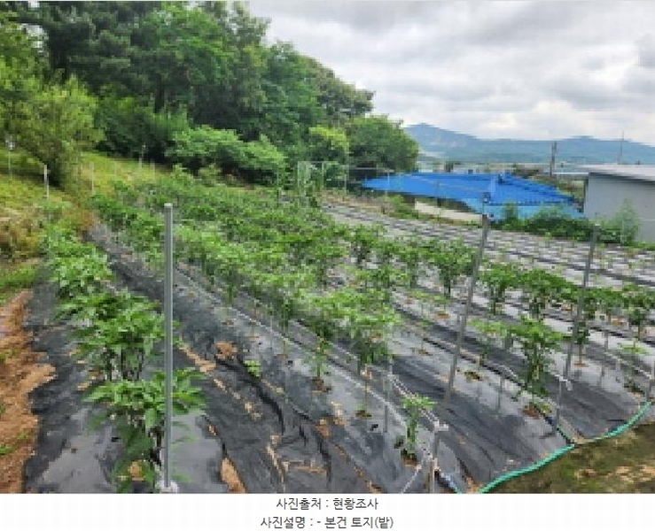 2025타경72496 경기도 양주시 남면 경신리 산13-2 임야 경매 이미지