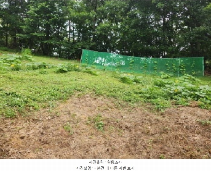 2025타경72496 경기도 양주시 남면 경신리 산13-2 임야 경매 이미지