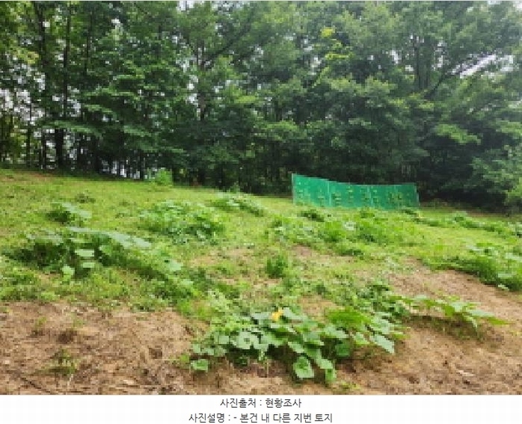 2025타경72496 경기도 양주시 남면 경신리 산13-2 임야 경매 이미지